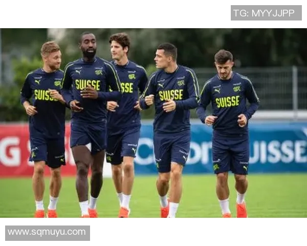 竞彩008法国对冰岛赛事分析及投注建议全方位解读